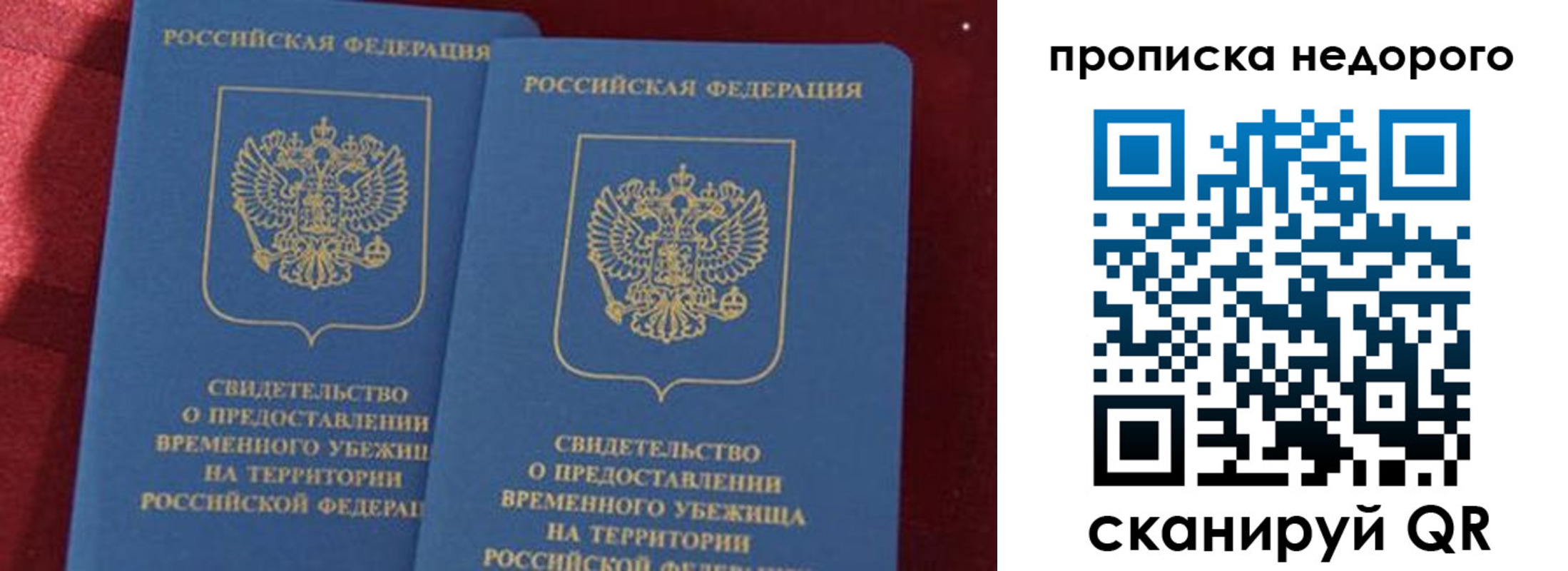 прописка гарантия в Струнино